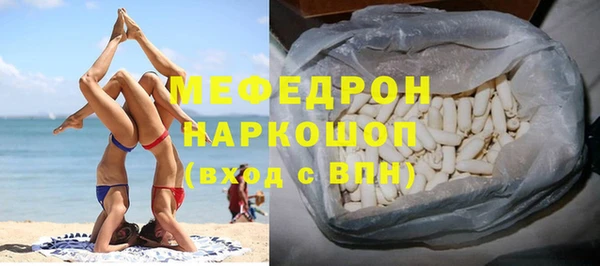 индика Снежногорск