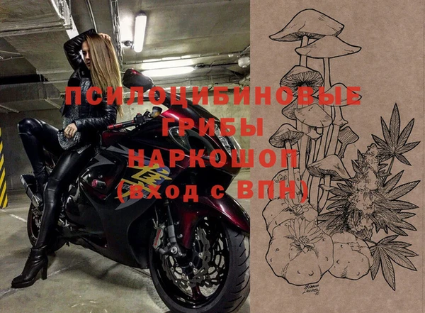 МДПВ Семёнов