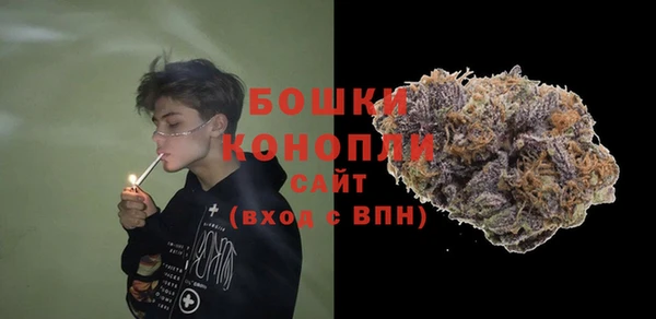 дживик Семилуки