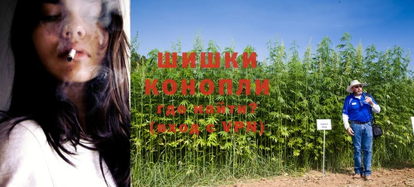 стаф Зеленодольск