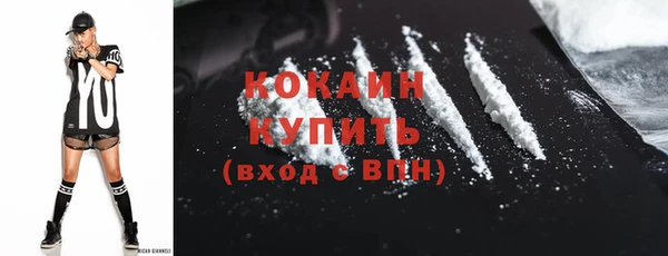 дживик Семилуки