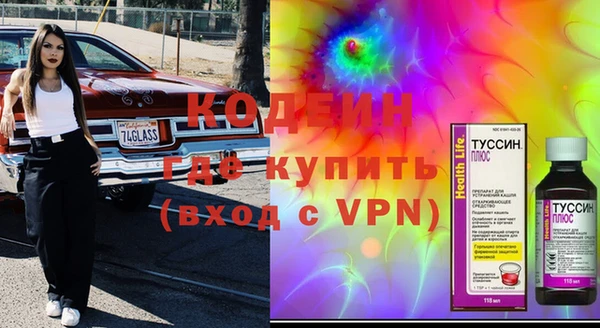 дживик Семилуки