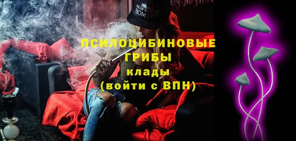 МДПВ Семёнов