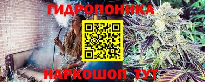 соль ск Кулебаки
