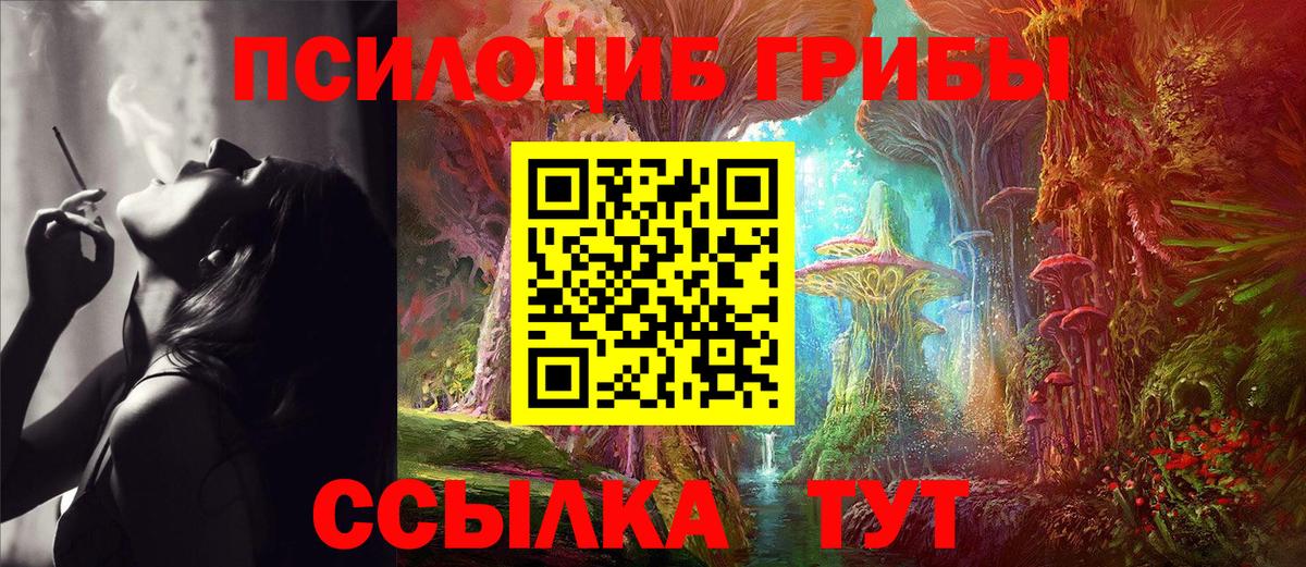 Галлюциногенные грибы ЛСД Сосновый Бор